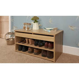 Compact shoe Organizer