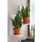 Evergreen Wall Mounted Planters