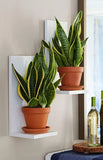 Evergreen Wall Mounted Planters