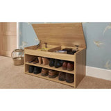 Compact shoe Organizer